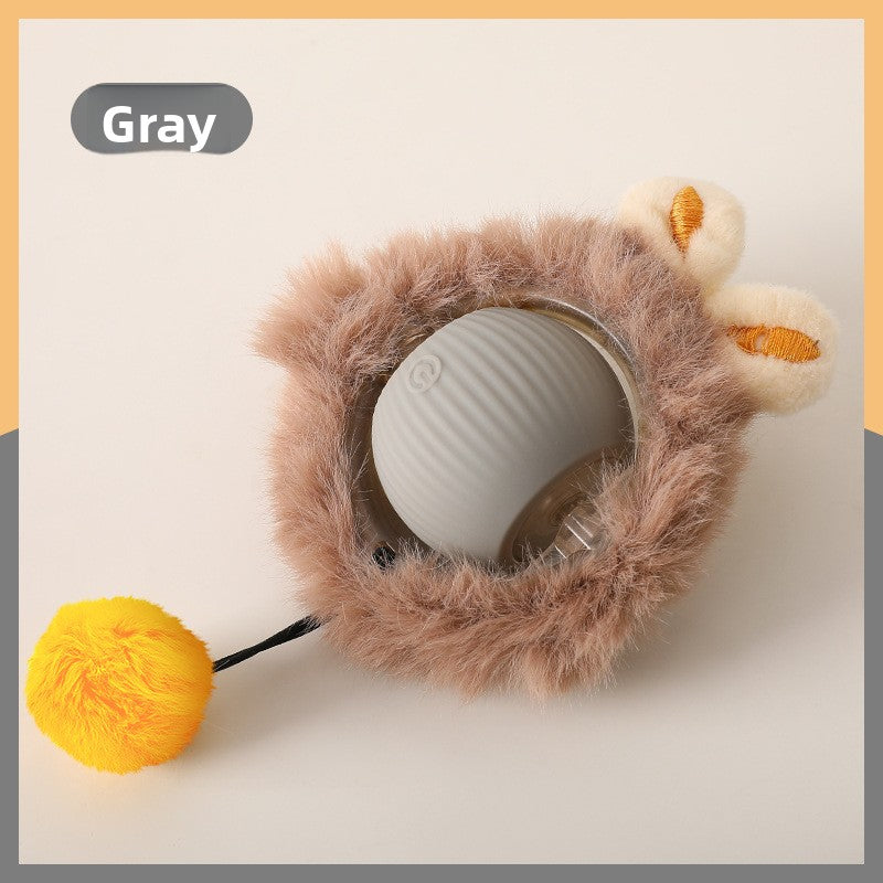 Automatic Dog Walking Ball