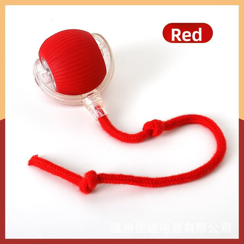 Automatic Dog Walking Ball