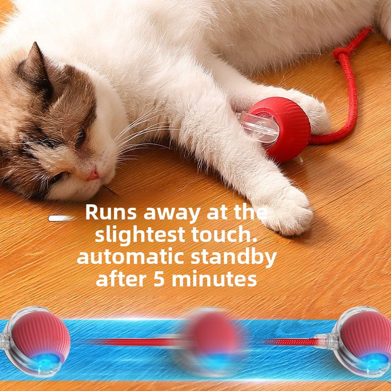 Automatic Dog Walking Ball
