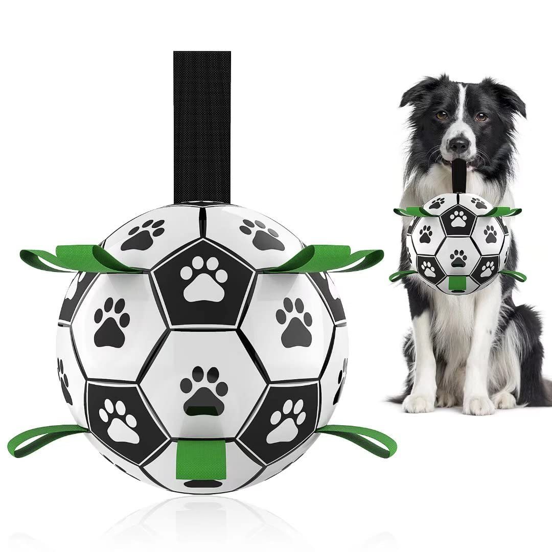 PawPlay Pro Kick Ball
