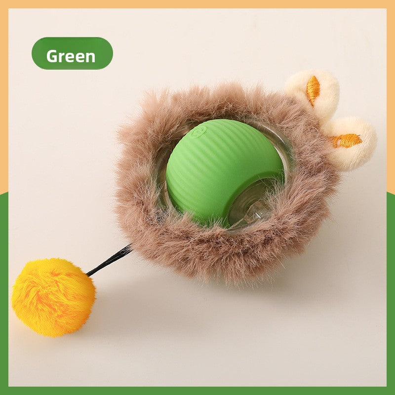 Automatic Dog Walking Ball
