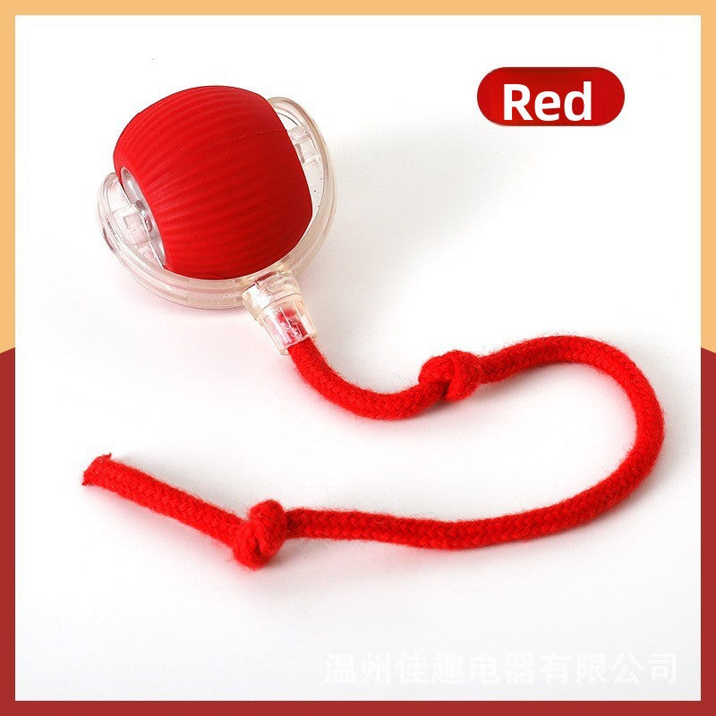 Automatic Dog Walking Ball