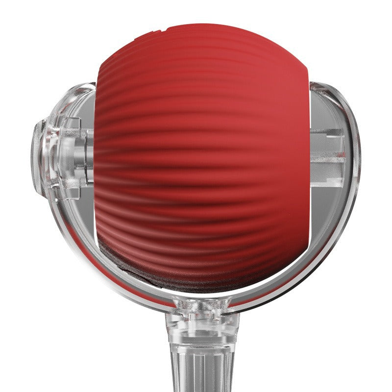 Automatic Dog Walking Ball