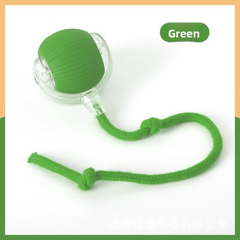 Automatic Dog Walking Ball