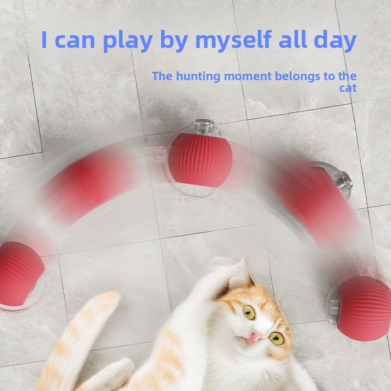 Automatic Dog Walking Ball