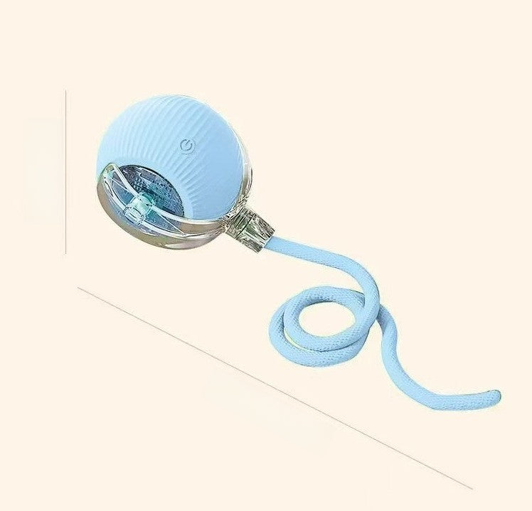 Automatic Dog Walking Ball