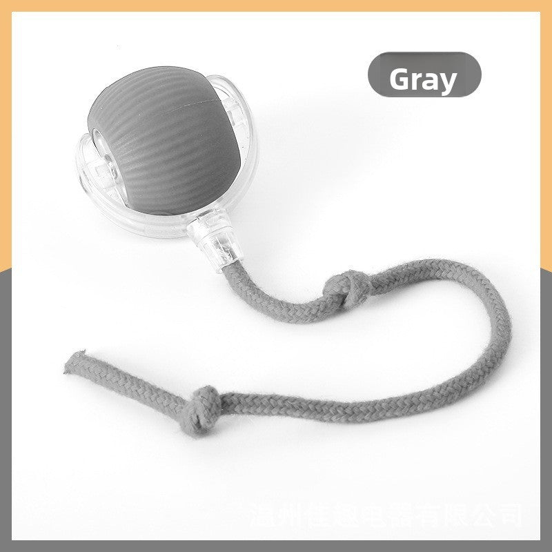 Automatic Dog Walking Ball