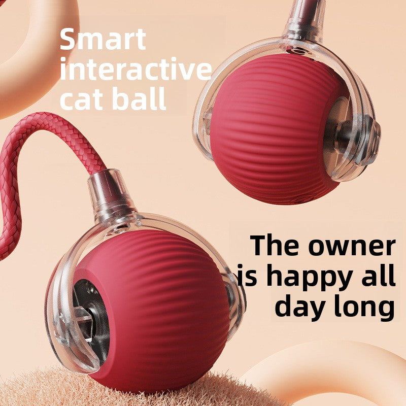 Automatic Dog Walking Ball