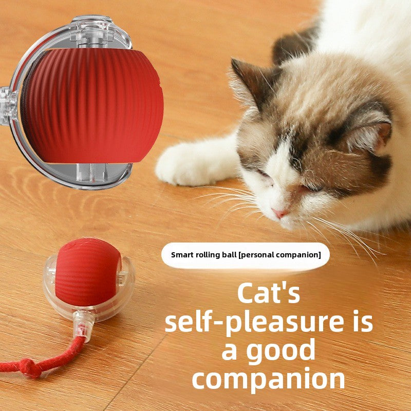Automatic Dog Walking Ball