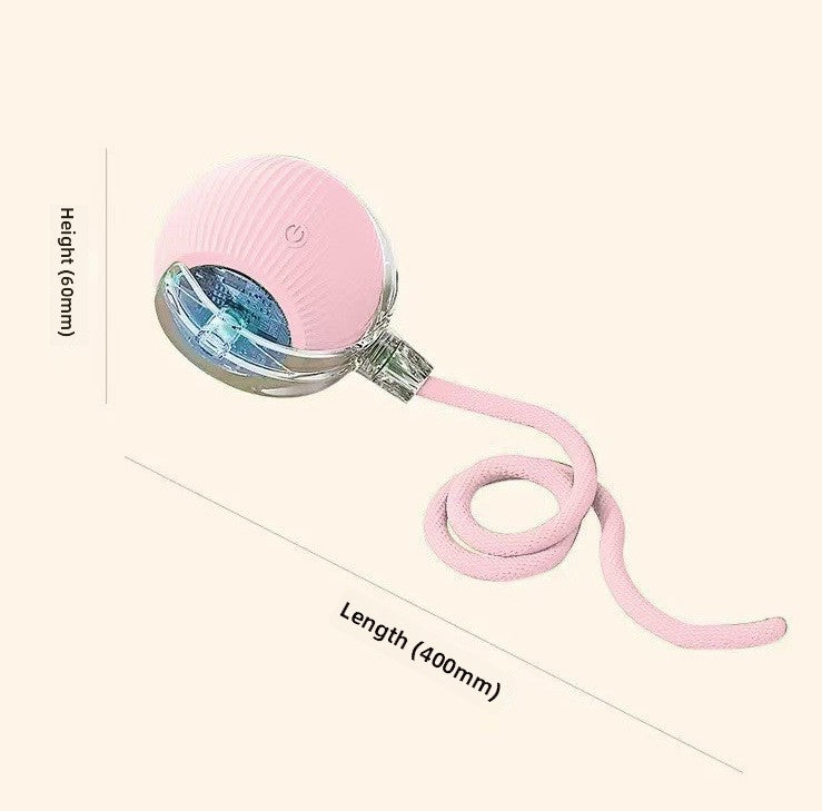 Automatic Dog Walking Ball