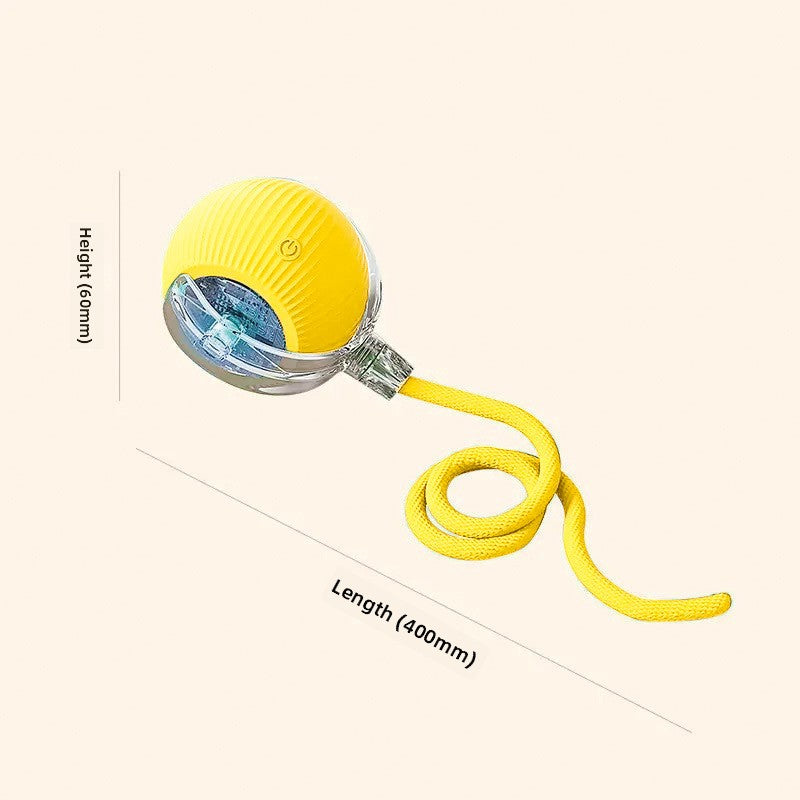 Automatic Dog Walking Ball